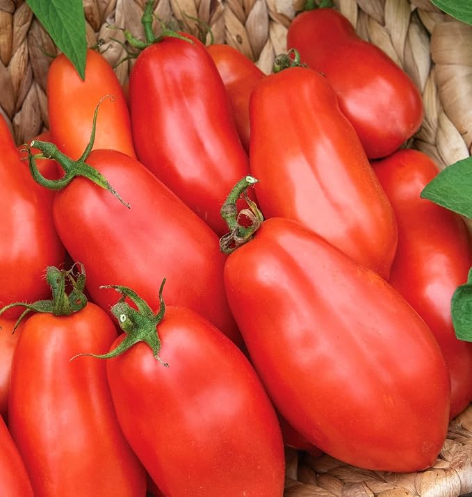 Burpee 'San Marzano' Heirloom, Paste Tomato, 75 Non-GMO Seeds