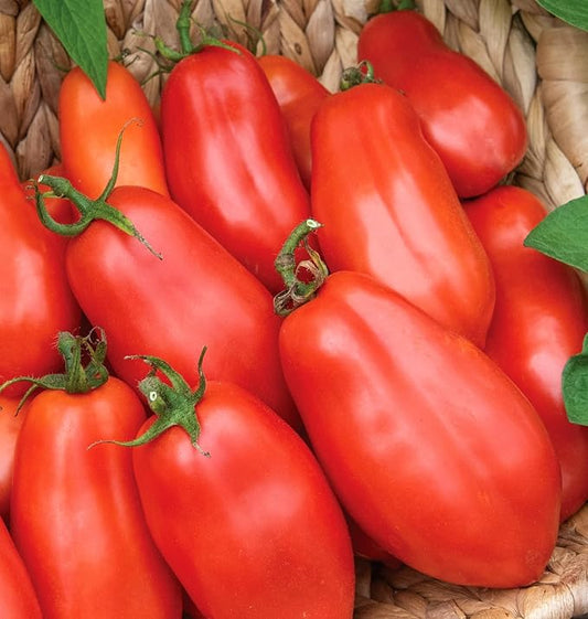 Burpee 'San Marzano' Heirloom, Paste Tomato, 75 Non-GMO Seeds