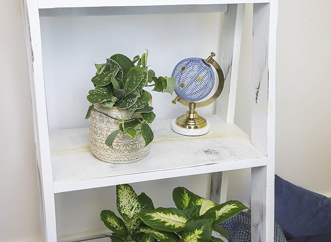 Altman Plants, Live Pothos Plants (4PK) Indoor Plants Live Houseplants, Pothos Live Plant House Plants Indoors Live Plants, Money Plant Indoor Pothos Plant Decor, Devils Ivy Trailing Plants Live