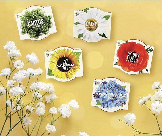Buzzy Seeds Terracotta Mini Grow Pots | Herb, Plant, Flower Starter Kit for Kids & Adults | Assorted 12-Pack, Daydream Collection | Guaranteed to Grow | Best Indoor-Outdoor Gardening Gift