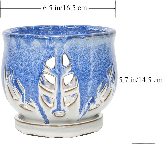W&W Orchid Pot with Holes and Saucer for Repotting and Better Grow, Blue and White, 6.5 Inches