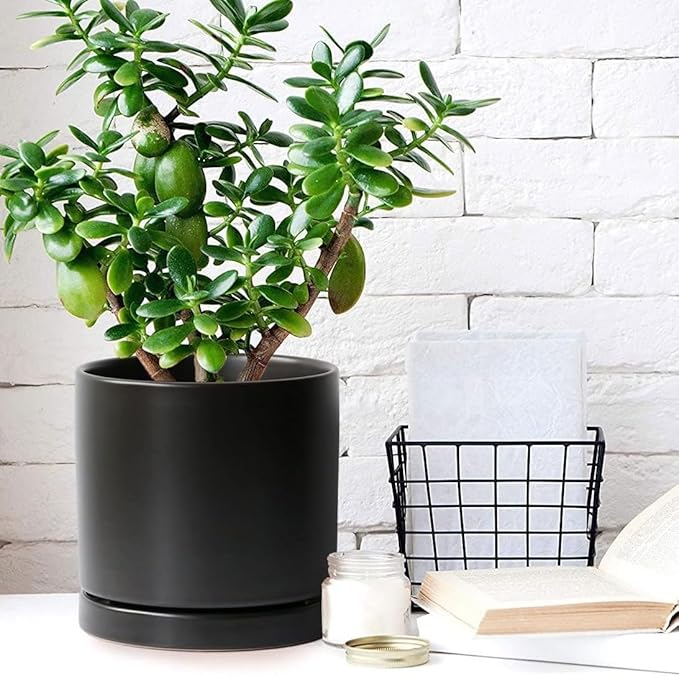 2 Pack Ceramic Plant Saucer Pot Tray 6 Inch, Planter Saucers 4 5 6 7 8 9 10 11 12 13 Inch for Indoors Outdoor, Durable Sturdy Flower Drainage drip Water Tray for Glazed Pots Base (6.4 Inch-Black)