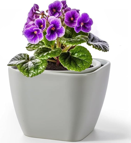 6 Inch Self Watering Pots for Indoor Plants,African Violet Pots, Easy Plant Self Watering Planter, Ceramic Plant Pot with Absorbent Inner Pot for Flowers,Indoor Flower Pots-Grey