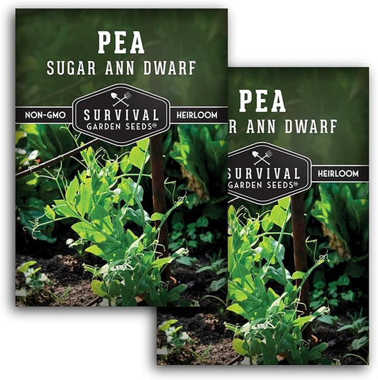 Sugar Ann Dwarf Pea Seed for Planting - 2 Packets with Instructions to Plant and Grow Sweet Snap Peas in Your Home Vegetable Garden - Non-GMO Heirloom Variety - Survival Garden Seeds
