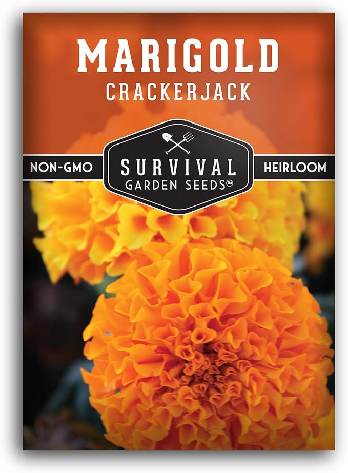 Survival Garden Seeds - Crackerjack Marigold Seed for Planting - 1 Packet with Instructions to Plant & Grow in Your Home Vegetable Garden - Non-GMO Heirloom Variety