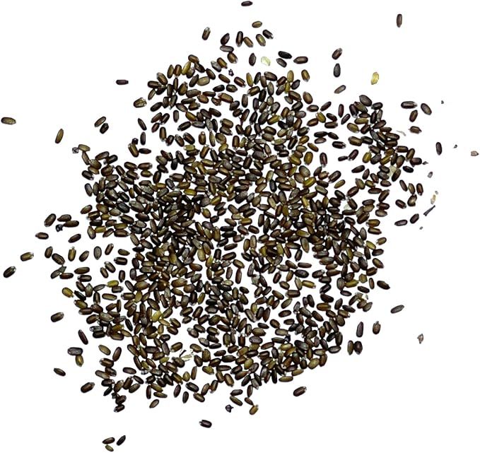 Seed Needs, Wild Bergamot Bee Balm Seeds - 400 Heirloom Seeds for Planting Monarda fistulosa - Attracts Honeybees, Bumblebees, Butterflies & Other Pollinators (2 Packs)