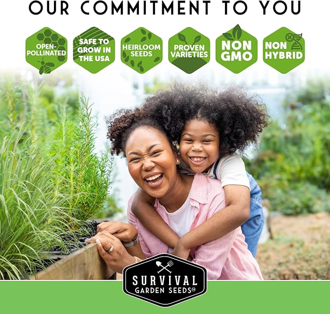 Survival Garden Seeds - Oat Seed for Planting - 3 Packs with Instructions to Plant & Grow Avena Sativa in Your Home Vegetable or Herb Garden - Medicinal Herb & Cover Crop - Non-GMO Heirloom Variety