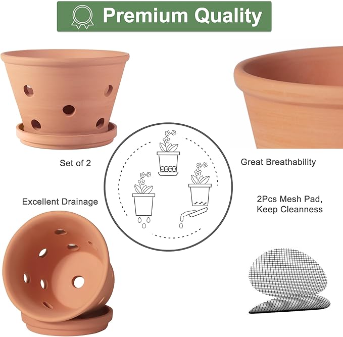 8 inch Terracotta Orchid Pots with Holes and Saucers, 2 Pack Clay Orchid Planter Pots for Repotting, Large Terra Cotta Orchid Pot, Plant Flower Pots for Orchid Indoor Outdoor Promotes Air Circulation