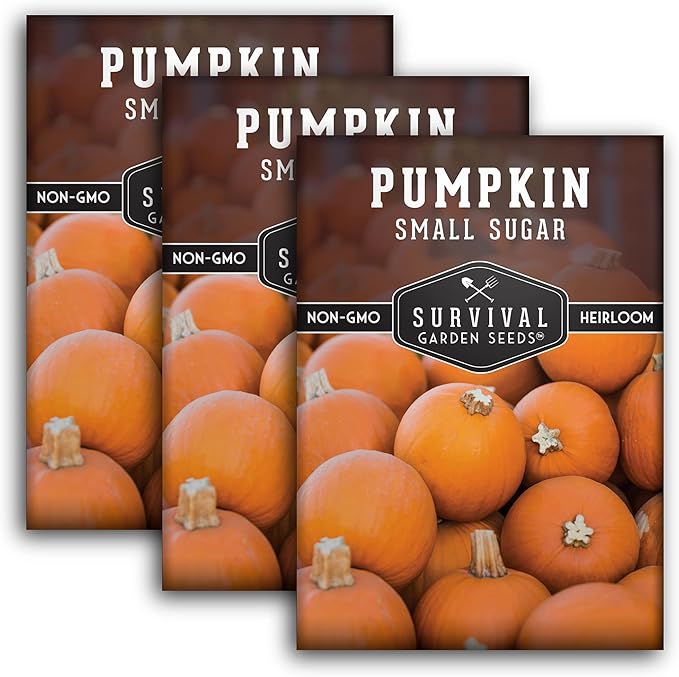 Survival Garden Seeds - Small Sugar Pumpkin Seed for Planting - 3 Packs with Instructions to Plant and Grow Pie Pumpkins in Your Home Vegetable Garden - Non-GMO Heirloom Variety