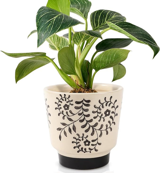 Indoor Ceramic Plant Pots with Drainage Holes 5 Inch Cute Succulent Flower Pots Small Orchid Planter Pots for Indoor Plants Garden Pots, Flower