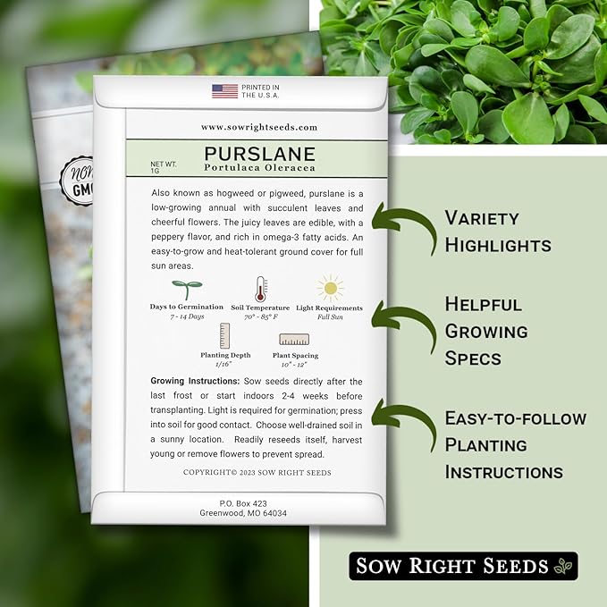 Sow Right Seeds - Purslane Seeds for Planting - Non-GMO Heirloom Packet with Instructions to Grow an Outdoor or Indoor Vegetable Garden - Rare Edible & Culinary Variety - Medicinal Benefits & Uses (1)
