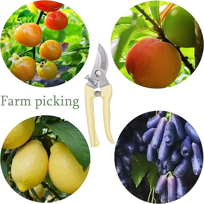 14-Pack Gardening Scissors,Pruning Shear, Florist Scissors for home and gardening