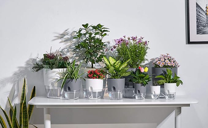 6/4.1/3.2 Inch Self Watering Planter Pots, 5 Pack African Violet Pots for Indoor Outdoor Windowsill Gardens, Self Aerating, High Drainage, Deep Reservoir(Gray)