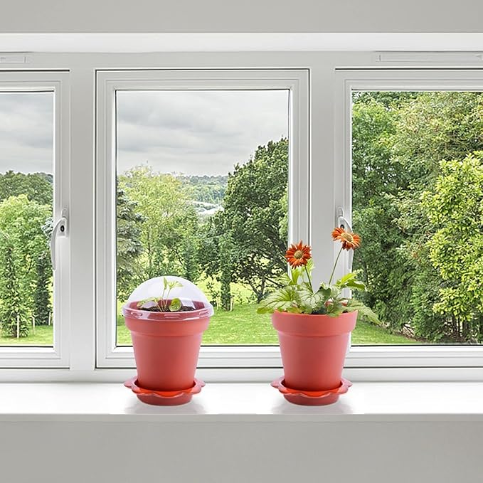 50 Packs Cupcake Plant Nursery Pots with Humidity Dome- Planting Containers Cups- Small Flower Pots with Trays & Lids for Indoor Outdoor Seedling Succulent Vegetable (Wine Red)