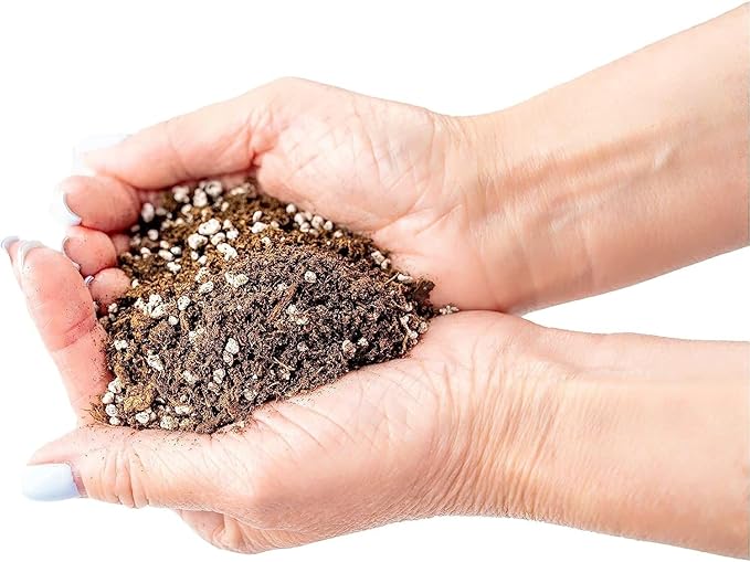 Premium Jade Plant Potting Soil Mix - 10 Quart (2 Bags of 5 Quart)