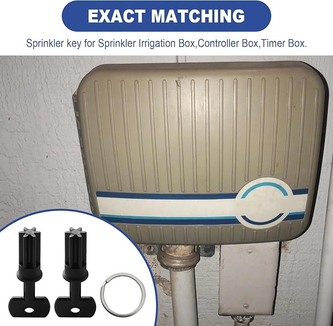 R8969 Rain Dial Outdoor Ext Replacement Key,Rain Dial External Controller Key for Irritrol Controller Sprinkler Irrigation Boxes RD600 RD900 RD1200.Outdoor Replacement Keys(2 pcs)