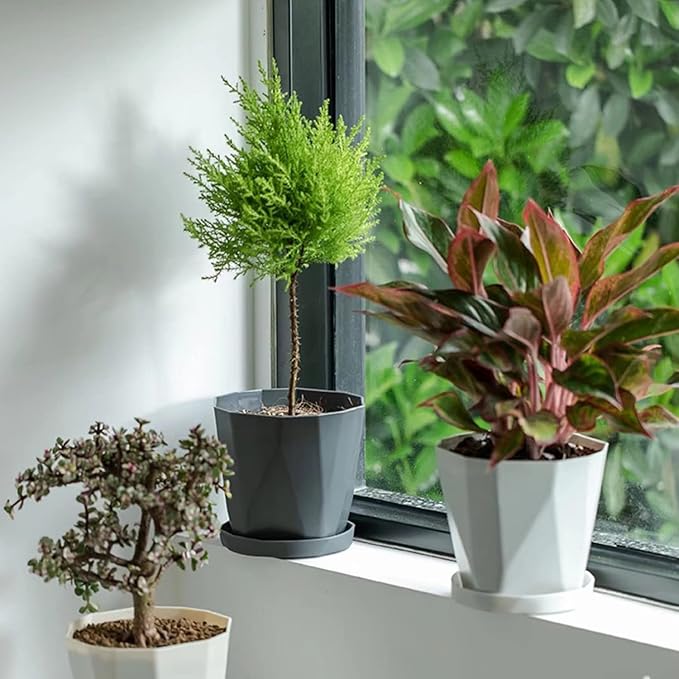 InmeRun Plant Pots Indoor Plastic Flower Pots Outdoor 5 inch Set of 6 Pack with Drainage Holes and Saucers for Garden Pots (5inch-6pcs)