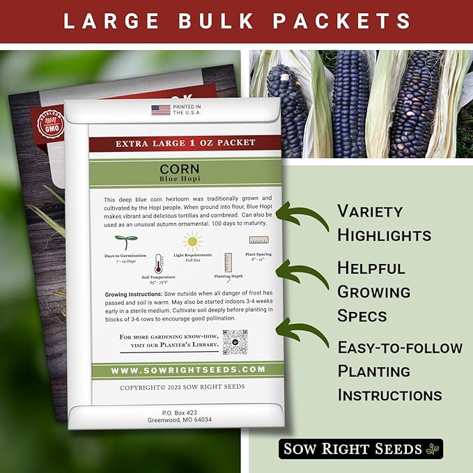 Sow Right Seeds - Bulk Blue Hopi Corn Seeds for Planting - 1 Ounce, 85 Seeds - Non-GMO Heirloom Jumbo Pack Grow an Outdoor Home Vegetable Garden - Grow Loads of Corn to Eat or Use as Ornamental