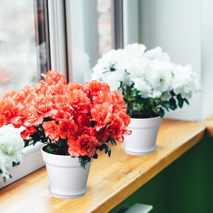 Mumufy 54 Pack 4 Inch Plant Pots Bulk Small Planter with Drainage Hole and Saucer Small Plastic Pots for Flowers Succulent Cactus and All House Indoor(White)