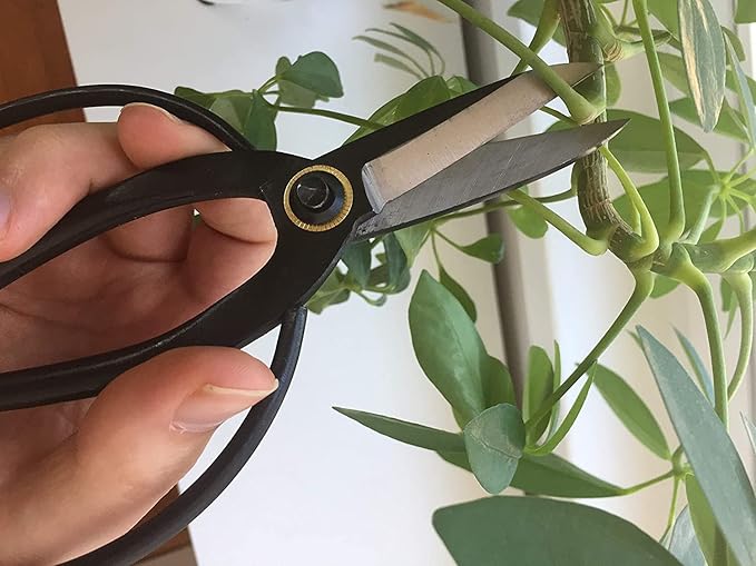GARDEN GURU Bonsai Scissors - Traditional Butterfly Bonsai Pruner Shear for Precise Trimming Pruning and Deadheading of Flowers Plants, Japanese Bonsai Garden Tools (180mm 4 Pack)