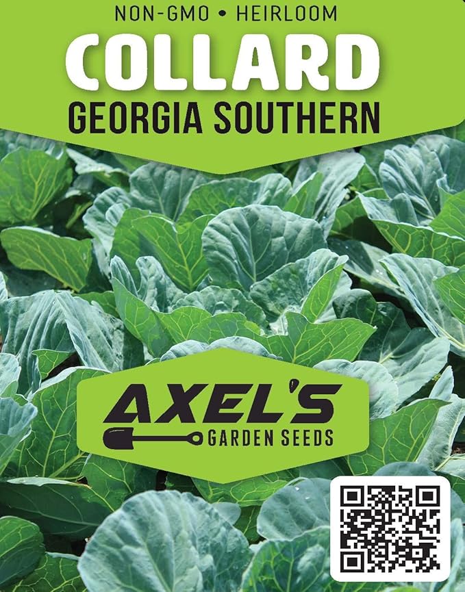 Collard Green Seeds for Planting - Plant & Grow Georgia Southern Collards - Full Planting Instructions to Plant a Home Outdoor Vegetable Garden - Great Gardening Gift, 3 Packets