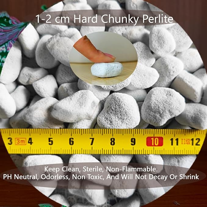 Natural 1-2CM Hard Chunky Perlite 10QT for Plants Horticultural Coarse Organic Pearlite Bulk Potting Mix Garden Soil Amendment for Enhanced Drainage and Ventilation for Orchid, Dendrobium, Araceae