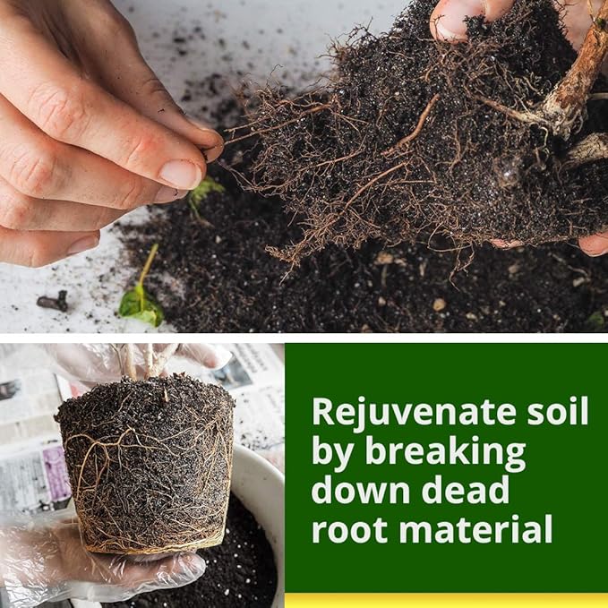 Humboldts Secret Plant Enzymes – Best Plant and Root Enzymes – 7000 Active Units of Enzyme per Milliliter – Quality Plant Food and Plant Fertilizer – Highly Concentrated – 1 Gallon