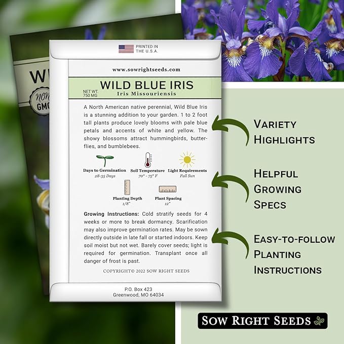 Sow Right Seeds - Wild Blue Iris Flower Seeds for Planting - Florist Favorites - Beautiful Flowers to Plant in Your Garden - Non-GMO Heirloom Seeds - Native Perennial - Wonderful Gardening Gifts (1)