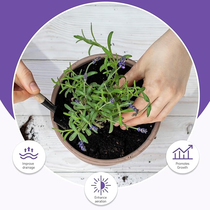 Premium Lavender Potting Mix 10qt, Promotes Lavender Blossoming, Perfect for Indoor and Outdoor Gardening