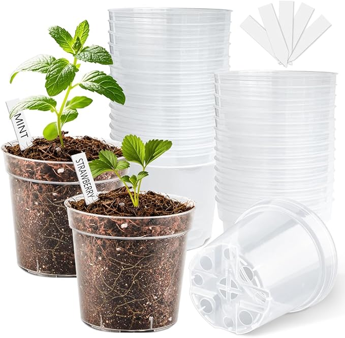 4 Inch Clear Nursery Pots for Plants, Plastic Plant Pot with Drainage Holes, Sturdy Thickened Seed Starter Pots, Small Transparent Seedling Pots with 30 Pcs Plant Labels and Soil Screens, (30 Pack)