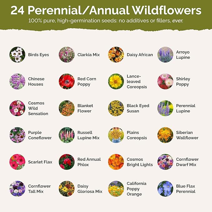 Eden Brothers Southwest Wildflower Mixed Seeds for Planting, 25 lb, 12,000,000+ Seeds with Cornflower, Blanket Flower | Attracts Pollinators, Plant in Spring or Fall, Zones 3, 4, 5, 6, 7, 8, 9, 10