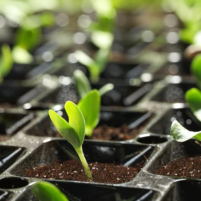 Seed Starting Soil Mix 2qt, Seed Starter Seedling Soil Ready to Use Suitable for Vegetable, Flower, Houseplant and Bonsai