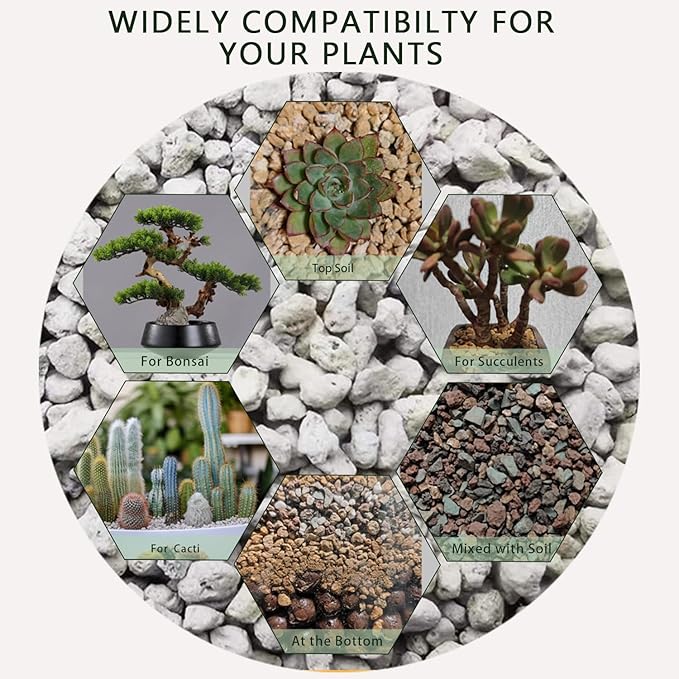 Horticultural Pumice for Plants 5QT, Natural Organic Pumice Stones for Succulent Cactus Bonsai Tree Orchid Potting Mixed, Improves Soil Aeration and Drainage, Promotes Root