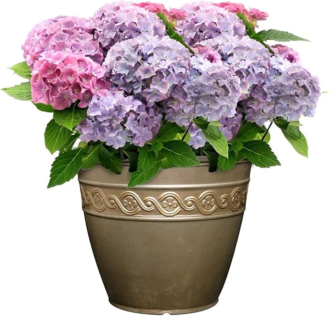 Classic Home and Garden Corinthian Resin Flower Pot Planter, Bronze, 10"