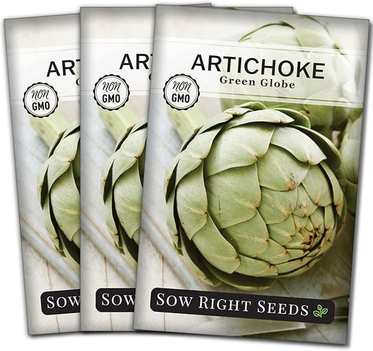Sow Right Seeds - Artichoke Green Globe Seeds for Planting - Non-GMO Heirloom Packet with Instructions to Plant and Grow an Outdoor Home Vegetable Garden - Perennial - Tall with Edible Flower Buds (3)