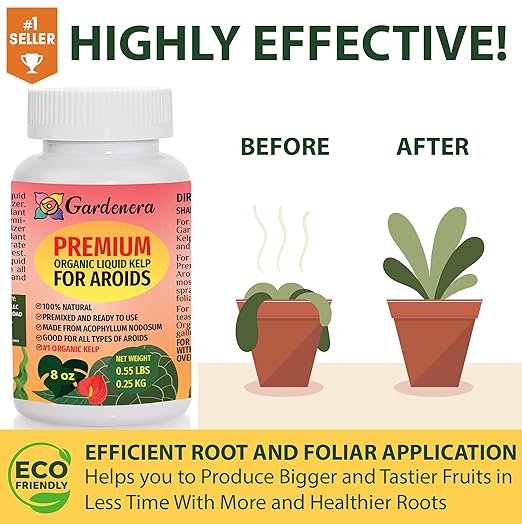 Liquid Seaweed Fertilizer for Aroid Plants - 32 oz - Maximize Aroids' Leaf Size and Health