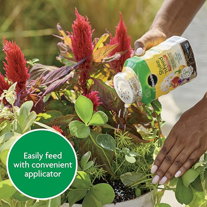 Miracle-Gro Shake 'N Feed All Purpose Plant Food, For In-Ground and Container Plants, Feeds for up to 3 Months, 1 lb.