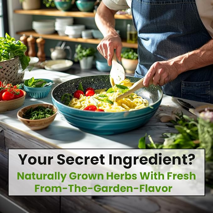 NatureZ Edge 12 Herb Seeds Variety Pack, 6000+ Heirloom Seeds for Planting Hydroponic Indoor or Outdoor Home Garden Plant Seed, Parsley, Cilantro, Basil, Thyme, Chamomile, Oregano, Dill & More NonGMO