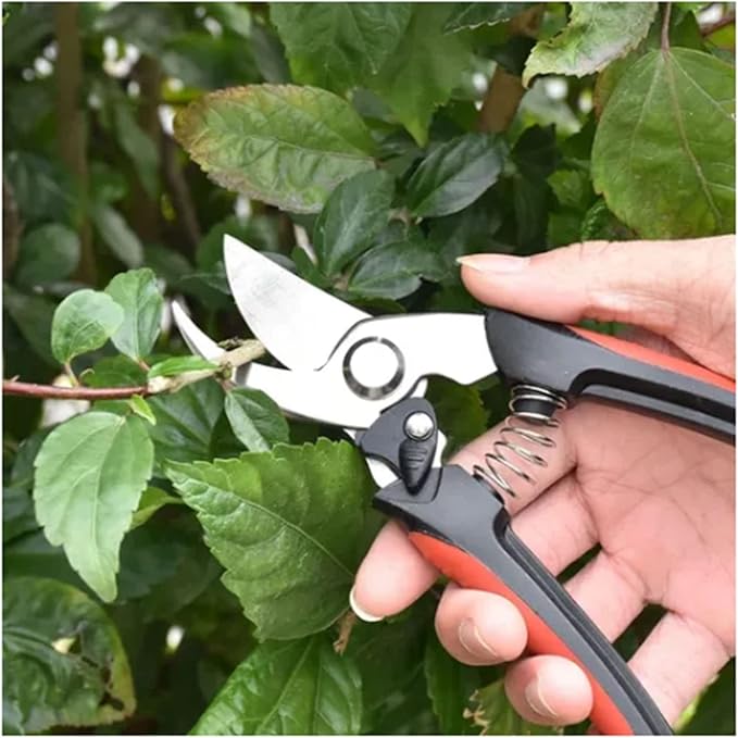 Garden Pruning Shears, Hand Pruner Scissor Tree Trimmers Secateurs Potted Cutters Snips Branch Plant Hedge Clippers Gardening Tool Stainless Steel Blades for Home Loppers Flower Bonsai Trimming