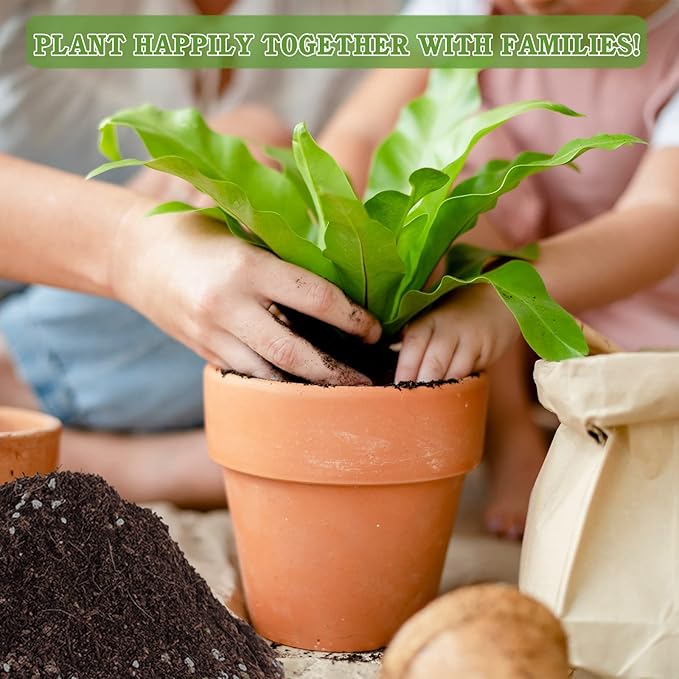 Halatool 6 QT Organic Aloe Plant Soil Potting Mix Garden Top Succulent Soil for Indoor & Outdoor Plants Bonsai Cactus Soil Potting Mix for Houseplants Flowers Vegetables & Herbs