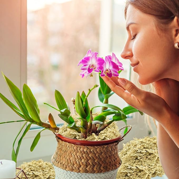 Riare 10 OZ Premium Sphagnum Moss- Natural Long Fibered Sphagnum Peat Moss Plants Moss Dried, Carnivorous Plants Moss Orchid Potting Mix for Orchids, Carnivorous Plants, Succulent (12QT)