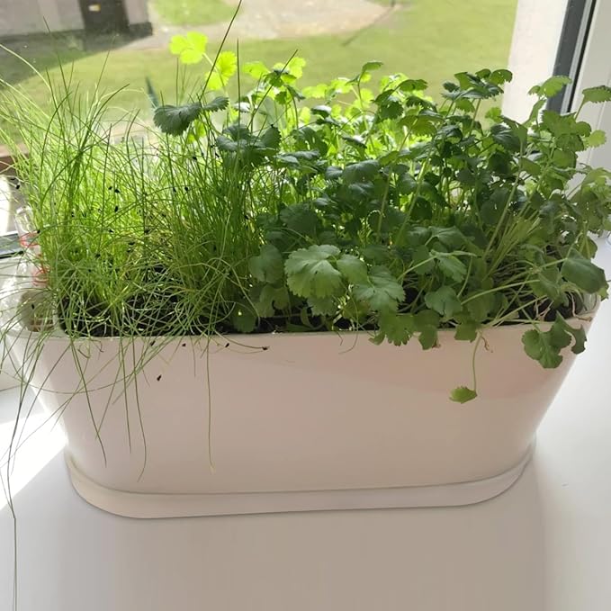 5 Set Window Herb Planter Box Rectangular,8.5x3.5 Inch White Plastic Planters with Multiple Drainage Holes and Trays,Indoor Succulent Cactus Mint Flower Pot for Windowsill,Garden Balcony