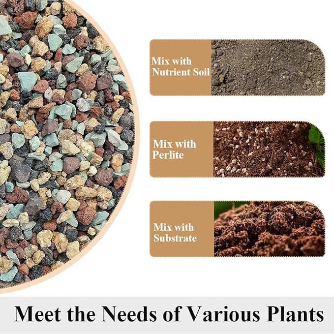 Succulent Cactus Soil Potting Mix Horticultural Lava Rocks Bonsai Soil for Indoor Plants Drainage Volcanic Rock for Terrarium Gardening Top Dressing 5lb