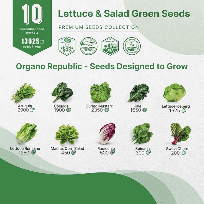 Organo Republic 10 Lettuce & Salad Greens Seeds Variety Pack 13000+ Non-GMO Heirloom Lettuce Seeds for Planting Indoors & Outdoors Garden, Hydroponics - Arugula, Radicchio, Kale, Spinach, Swiss Chard