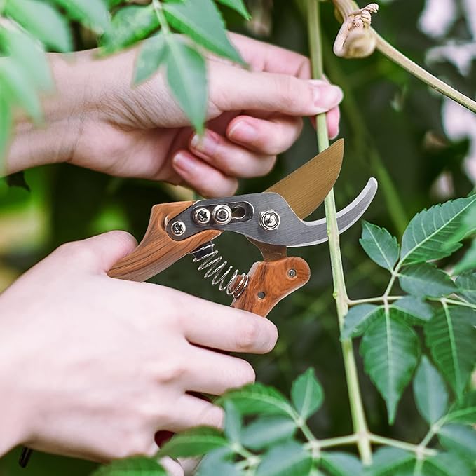 Garden Pruning Shears Set - 2 Pack, 1 Bypass Pruner+1 Straight Blade Scissors, Garden Clippers, Sharp Garden Shears for Cutting Flowers, Trimming Plants, Bonsai, Fruits Picking, Gardening Tools