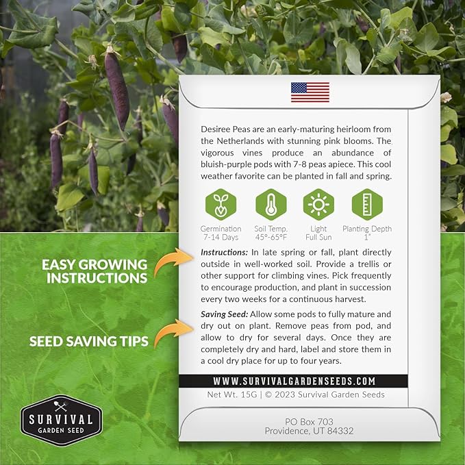 Desiree Pea Seed for Planting - 5 Packets with Instructions to Plant and Grow Delicious Purple-Podded Snap Peas in Your Home Vegetable Garden - Non-GMO Heirloom Variety - Survival Garden Seeds