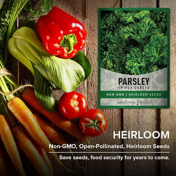 Gardeners Basics, Curled Parsley Seeds for Planting Indoors and Outdoors Heirloom, Open-Pollinated, Non-GMO Curly Herb Variety- Great for Home Gardens and More