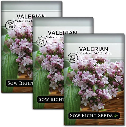 Sow Right Seeds - Valerian Seeds for Planting - Non-GMO Heirloom Packet with Instructions to Plant an Outdoor Herb Garden - Fragrant with Medicinal Benefits - Valerian Root for Sleep & Calm (3)