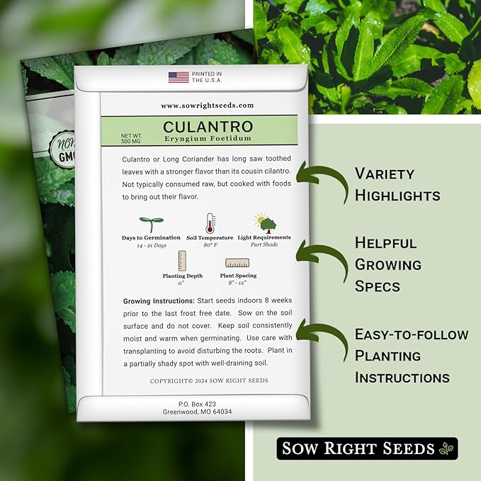 Sow Right Seeds - Culantro Seeds for Planting - Non-GMO Heirloom Packet with Instructions to Grow a Kitchen Herb Garden - Great Addition to Your Cooking - Unique and Zesty Herb from Puerto Rico