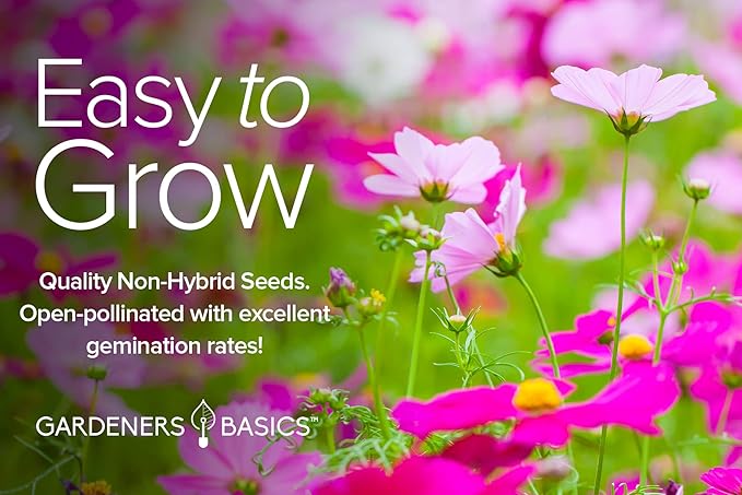 Gardeners Basics, Cosmos Seeds for Planting Outdoors Flower Seeds (4 Variety Pack) Cosmos Candystripe, Sensation Mix, Dazzler, Purity Pink and White Varieties for Bees, Pollinators Wildflower Seed